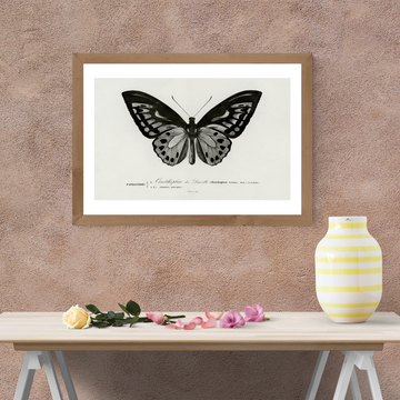 Whispers of Wing (Butterfly)Size (A4)