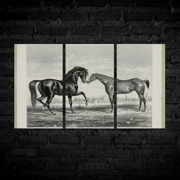 Monochrome Majesty Size (A4)