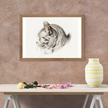 Shadow Whiskers Size (A4)