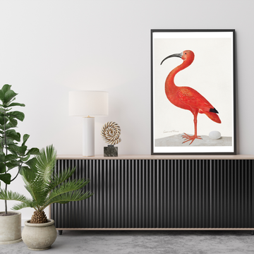 Beak & Balance Size (A3)