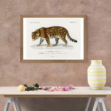 Burning Stride (Tiger) Size (A4)