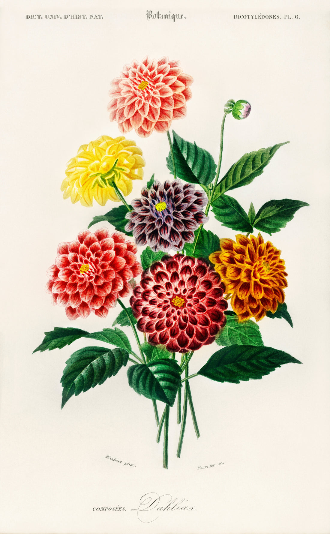 Wild Bloom Size (A4)