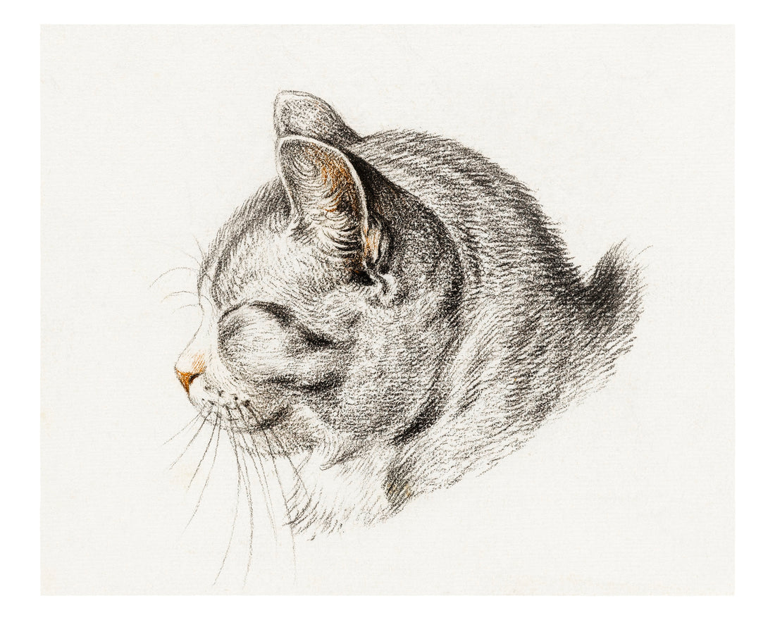 Shadow Whiskers  Size (A4)