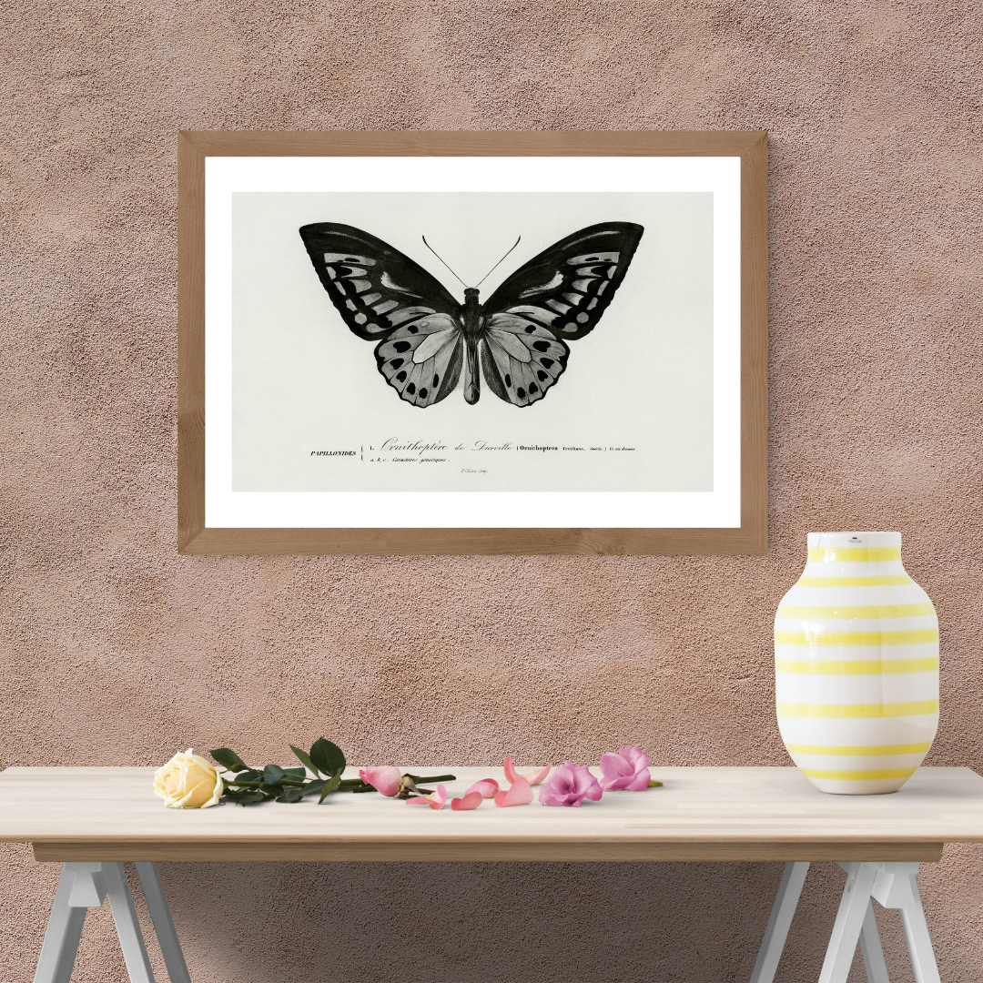 Whispers of Wing (Butterfly)Size (A4)