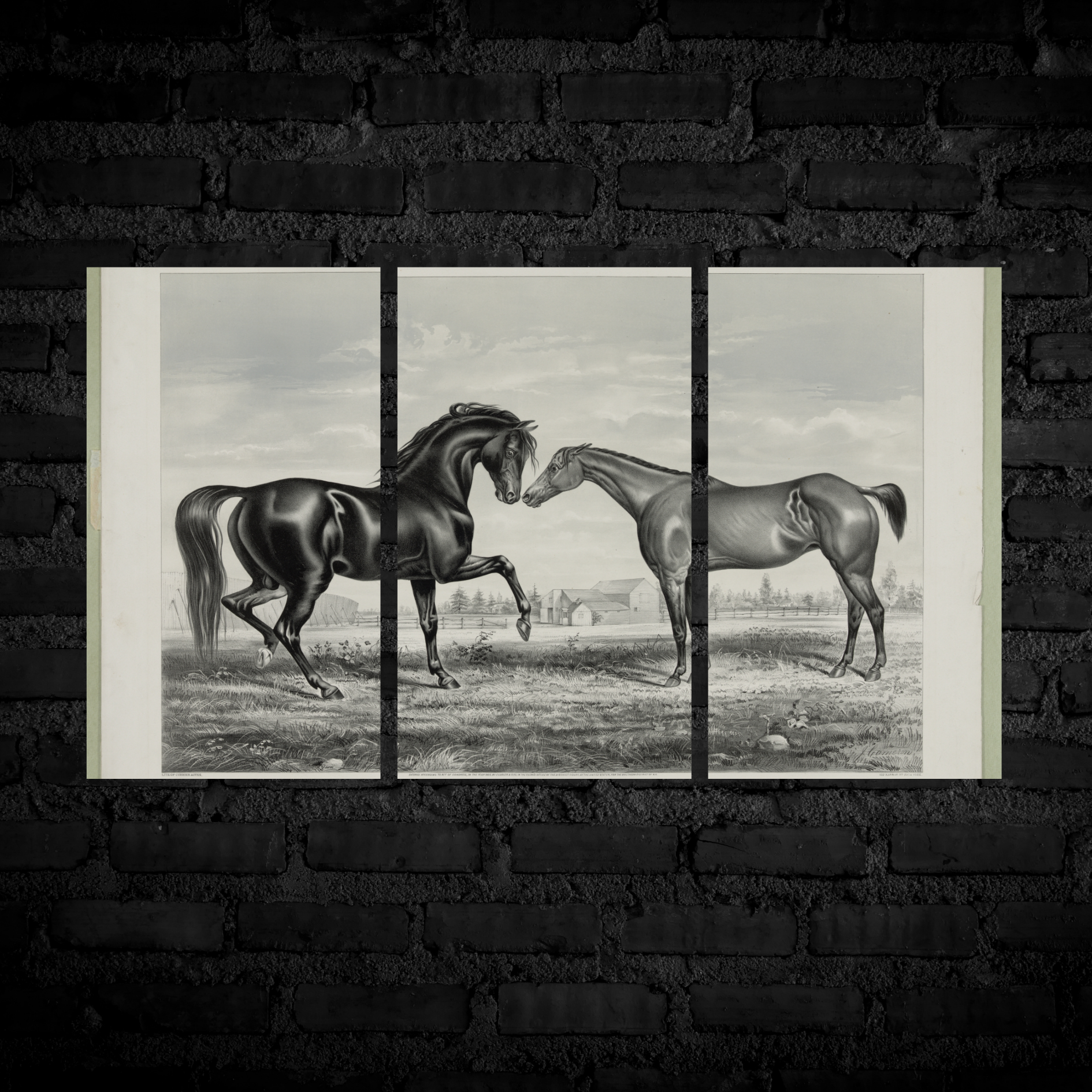 Monochrome Majesty Size (A4)